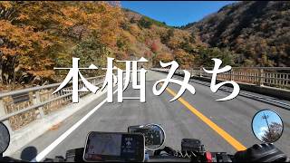 山梨・本栖みち｜走るだけの動画｜2024/11/22｜ドゥカティ スクランブラー ナイトシフト｜DUCATI Scrambler Nightshift