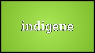 Indigene Meaning