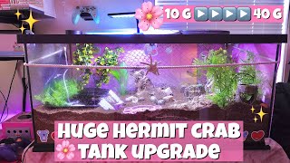 HUGE HERMIT CRAB TANK UPGRADE!✨