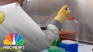 Inside The DHS Lab Where Researchers Study Coronavirus | NBC Nightly News