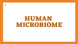 An Overview of the Human Microbiome in Microbiology