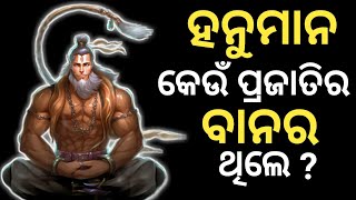 ହନୁମାନ କେଉଁ ଜାତିର ବାନର ଥିଲେ ? | Why is Hanuman half monkey? | hanuman kan mankda thile |