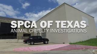 SPCA of Texas' Animal Cruelty Investigations Unit, Part One: Introduction