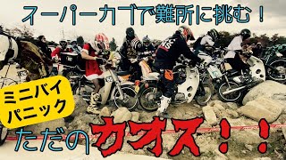 【ｶﾌﾞ好き閲覧注意】ｽｰﾊﾟｰｶﾌﾞでｵﾌﾛｰﾄﾞﾚｰｽ!?ﾐﾆﾊﾞｲぱにっく観に行ったらただのｶｵｽだったｗ【ﾋﾞｼﾞﾊﾞｲ ﾊﾝﾀｰｶﾌﾞ ｸﾛｽｶﾌﾞ】【ﾊｰﾄﾞｴﾝﾃﾞｭｰﾛ】