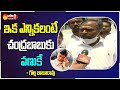 Payakaraopeta YSRCP MLA Golla Babu Rao Comments On Chandrababu Naidu | Sakshi TV