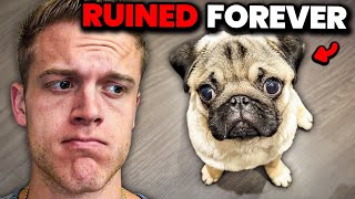 How We RUINED Dog Breeds