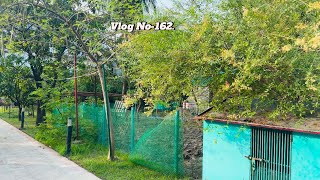 #organicgardening , মেহেদি ফুলের সুবাস এবং বাগানের আজকের অবস্থা .