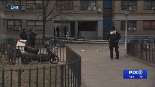 2 teens shot in Williamsburg, Brooklyn: NYPD