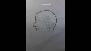 Human brain drawing | Noble Art Gallery. #shorts