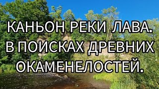 Каньон реки Лава. В поисках древних окаменелостей.