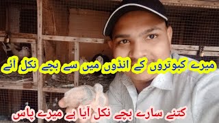 MY 2nd VLOG ❤ || MY 2nd VIDEO ON YOUTUBE || Usama Bhatti vlog