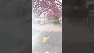 🌸Sakura Pikachu Pokémon GO🌸