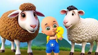 Baa Baa Black Sheep New Compilation | Young MacDonald In Farm |Nursery Rhymes & Kids Songs Bebe Bebe