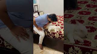 billu se liya badla tamacha ka part 1-#catcomedy #catvideo #cat #cats #viralcat