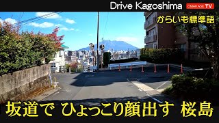 急な坂ファン全員集合！　黄金通り　西田本通り　常磐町入口　常盤台公園　日枝神社　武岡団地常盤口　ドライブVlog　鹿児島の道路 おまかせテレビ Omakase TV