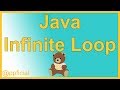 Java Infinite Loop by Example in a While Looping Structure - Java Programming - Appficial