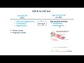 الفرق بين crp test and hs crp test