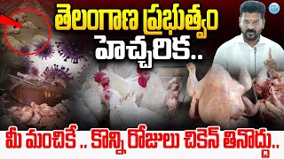 మీ మంచికే.. చికెన్ తినొద్దు.. | Eat Chicken and Eggs | Bird Flu In Chickens | CM Revanth Reddy