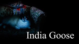 India Goose （夜会「橋の下のアルカディア」より） (中島みゆき)[歌ってみた] {ピコピコぱんだ} 【Cover/カバー】