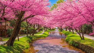 Calming, Relaxing Music Relieves Stress and Helps You Stop Thinking Too Much #11