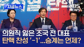 [지금뉴스] 조국 의원직 잃어 탄핵 찬성 -1…승계는 언제? / KBS 2024.12.12.