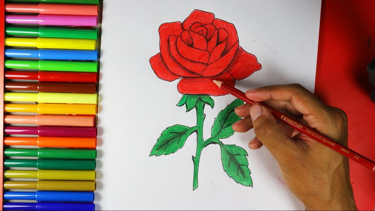 How To Draw A Rose Easy - YouTube