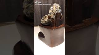 （水晶Crystal) (风水摆件 Feng Shui Decor) 玛瑙 聚宝盆 Agate Treasure Bowl