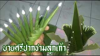 สอนทำบายศรีปากชาม ลูกเก้า (ลายหงาย)