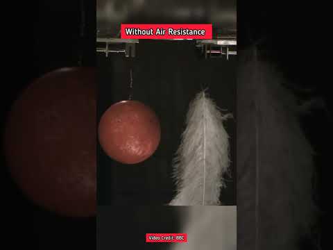 Which force acts between any two objects that have mass?