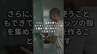 【優秀】知能抜群！タコの驚きの能力に驚愕！　#たこ #雑学 #動物