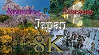 [8K 4320P HDR] Amazing Four seasons Japan Time lapse in 8K ハイダナミックレンジ8K日本の四季タイムラプス映像