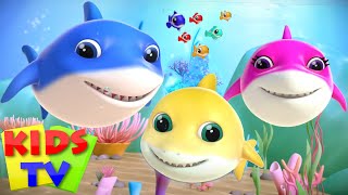 New Baby Shark Song | Kids Tv Nursery Rhymes | Kids Show | Baby Songs