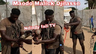 Entrée extraordinaire de Maodo Malick Djilasse à Diofior Ndiol nial 10 février 2025