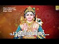 പുള്ളിമയിൽ chinthu pattu muruga devotional song palkavadi 1 pullimayil