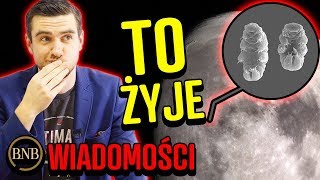 Odkryto ŻYCIE NA KSIĘŻYCU! To własność IZRAELA | WIADOMOŚCI