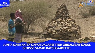 Junta Qarkakisa Qafar Dacarsittoh Xiinal/gab qasal gexisse Samad Baysi Gaaditte.