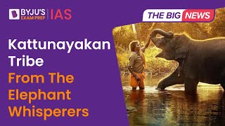 Kattunayakan Tribe From The Oscar Winning 'The Elephant Whisperers' | Tribes of India | PVTG | UPSC
