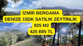 İZMİR BERGAMA DENİZE 15DK SATILIK ZEYTİNLİK 925 M2  425 BİN TL