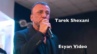 Tarek Shexani | Gulshini 2024 طارق شيخاني كولشيني ٢٠٢٤