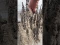 forest of sand