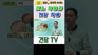 [건달TV] 이뇨 작용과 거담작용으로 기관지에 좋은 항암식품!!! 꾸준히 드세요#복령#건달TV#건강정보