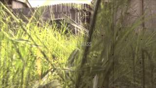 You Never Know What is Lurking in Tall Grass PSA