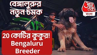 বেঙ্গালুরুর নতুন চমক20 কোটির কুকুর! Bengaluru Breeder | 250 Crore Dog | Aaj Tak Bangla