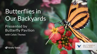 Butterflies in Our Backyards with BUTTERFLY PAVILION