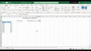How to get sum of visible rows only in Excel