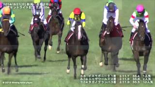 セントライト記念 2015年 1着馬 キタサンブラック