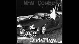 DudePlaya - Why Cowbell