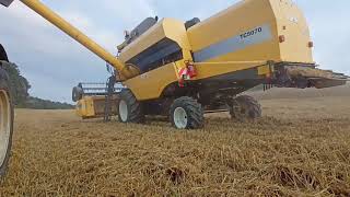 © ŻNiWa 2021! Pr0ject by Marcheweczka_a ❤️ NEW HOLLAND TC 5070 \u0026 6050