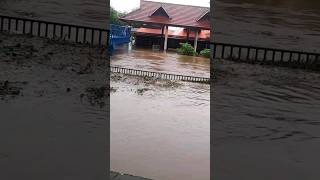 Sree Ayyappa Temple Chamravattam  #shorts #youtubeshorts