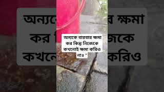 অন্যকে বারবার ক্ষমা কর কিন্তু নিজেকে কখনোই ক্ষমা করিও না॥ ”